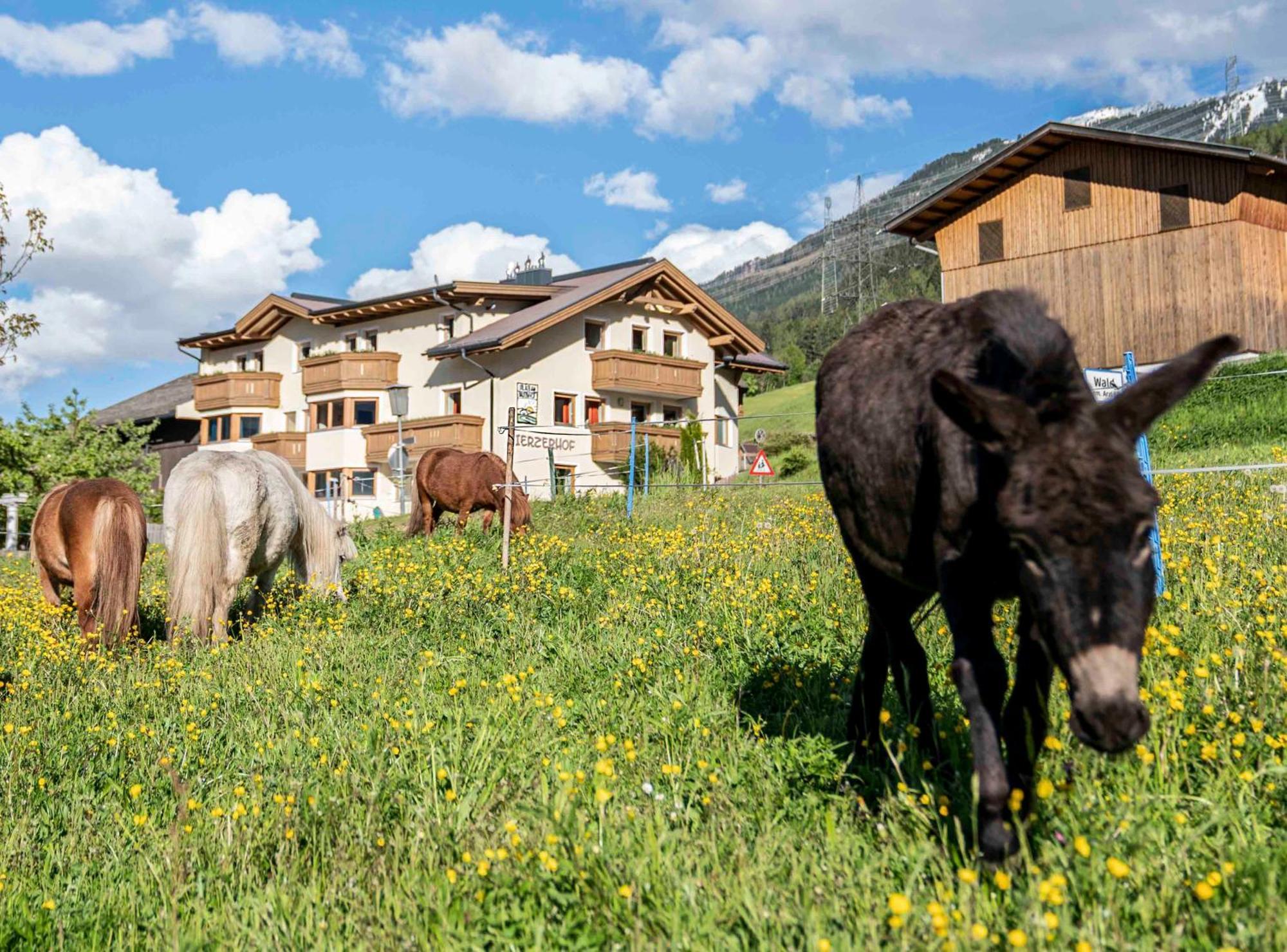 Kinderbauernhof Ierzerhof Arzl im Pitztal Exterior foto